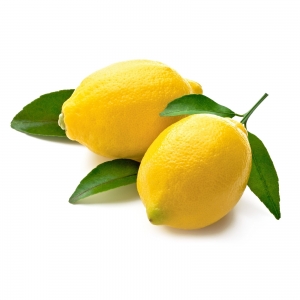 Lemon Primofiore a Foglia ( Kg. 1) also required for making limoncello