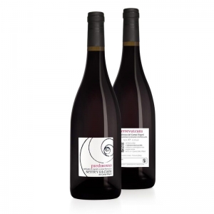 Du vin SETTEVULCANI – Piedirosso dei Campi Flegrei doc