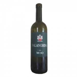 Falanghina blanche - Cantine Moio