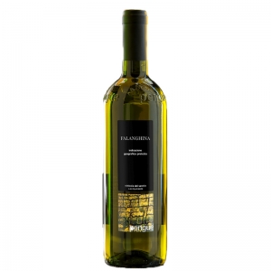 Vino blanco Falanghina Beneventano IGP PENGUE 1 Lt - Vinicola del Sannio