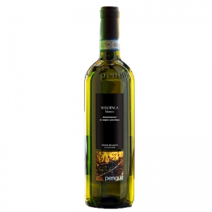 White wine Solopaca Sannio D.O.P. PENGUE  - Vinicola del Sannio
