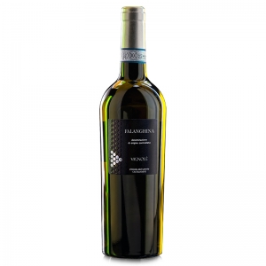 Vino blanco Falanghina del Sannio D.O.P. VIGNOLÈ - Vinicola del Sannio